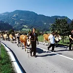 Gafri -boutique - Comfort And Hospitality - Near Interlaken Wilderswil