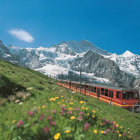 Chalet Gafri -Boutique B&B - Comfort And Hospitality - Near Interlaken 3* ヴィルダースヴィル