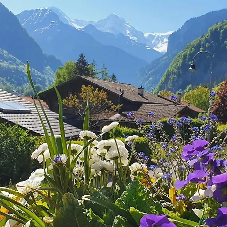 Chalet-gafri - - Fruehstueckspension Und Gastfreundschaft Bed & Breakfast 4*