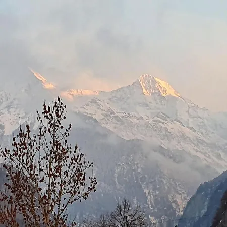 ベッド・アンド・ブレックファスト Chalet Gafri -Boutique B&B - Comfort And Hospitality - Near Interlaken 3*