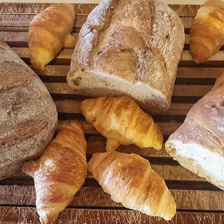 BnB Chalet-Gafri - Frühstückspension Bed & Breakfast Wilderswil