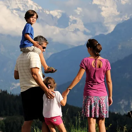 Chalet-gafri - - Fruehstueckspension Und Gastfreundschaft Wilderswil