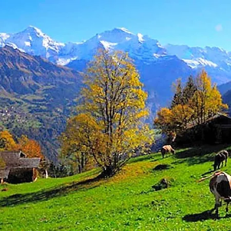 Gafri -boutique - Comfort And Hospitality - Near Interlaken Wilderswil