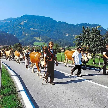 Gafri -boutique - Comfort And Hospitality - Near Interlaken 3* Wilderswil