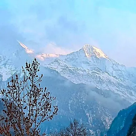 Gafri -boutique - Comfort And Hospitality - Near Interlaken