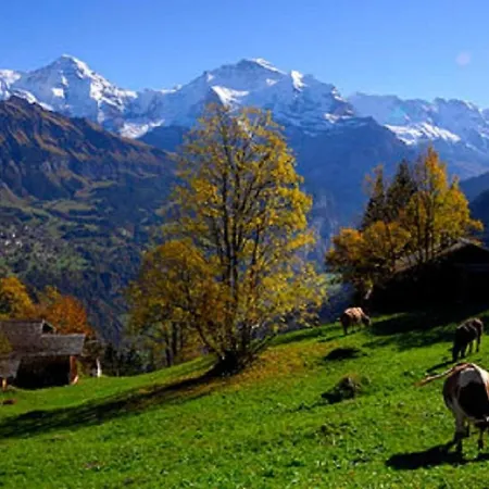 Chalet Gafri -Boutique B&B - Comfort And Hospitality - Near Interlaken ベッド・アンド・ブレックファスト