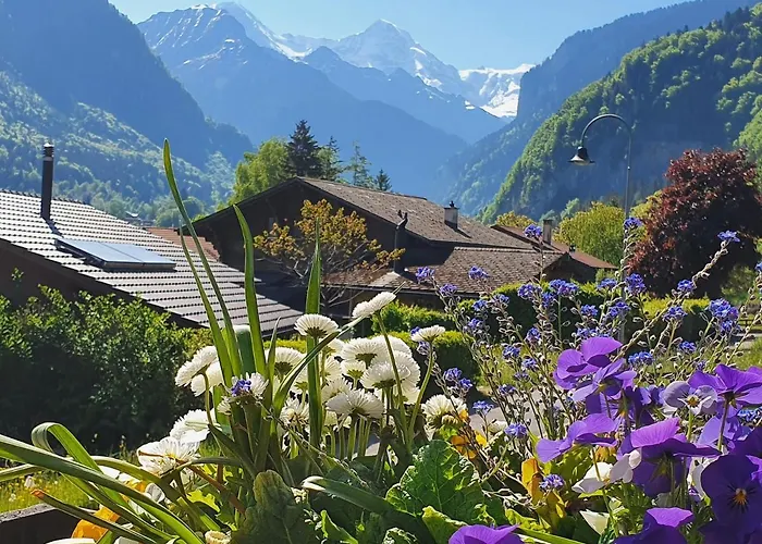 Gafri -boutique - Comfort And Hospitality - Near Interlaken 住宿加早餐酒店 3*