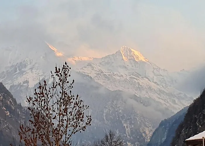 Bed & Breakfast Gafri -boutique - Comfort And Hospitality - Near Interlaken 3*