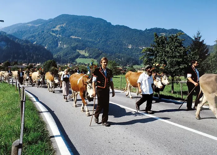 Gafri -boutique - Comfort And Hospitality - Near Interlaken 维尔德斯韦尔