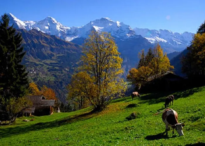 Gafri -boutique - Comfort And Hospitality - Near Interlaken Bed & Breakfast