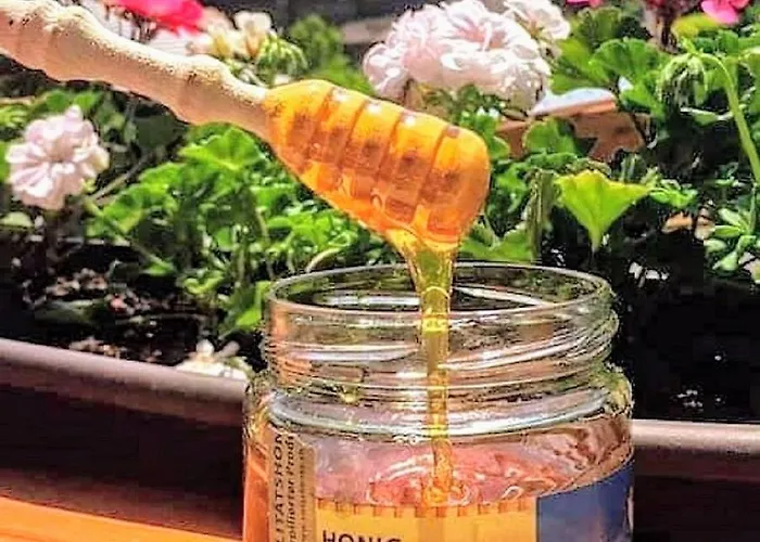 לינה וארוחת בוקר Gafri -boutique - Comfort And Hospitality - Near Interlaken 3*